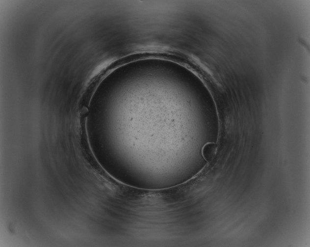 X0000093211315200709261548