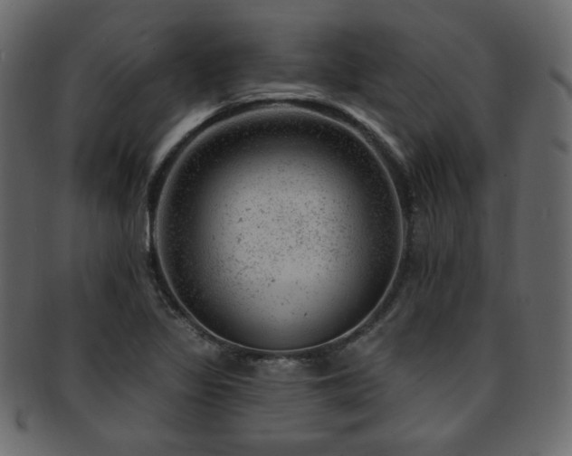 X0000093211317200709261548