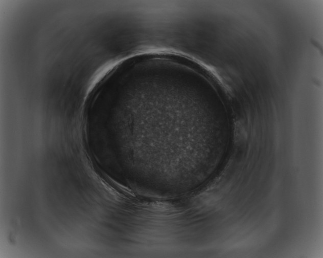 X0000093211319200709261548