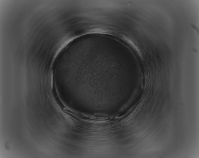 X0000093211323200709261548