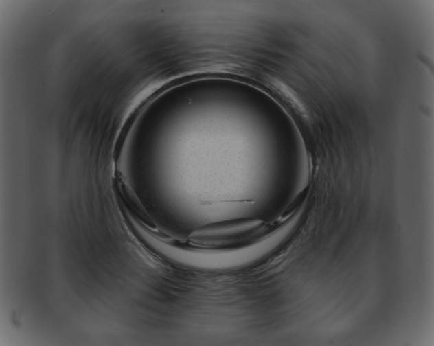 X0000093211324200709261548