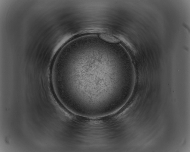 X0000093211325200709261548