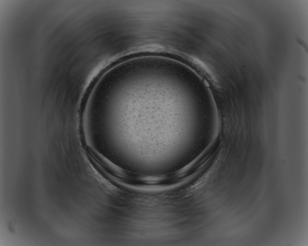 X0000093211326200709261548