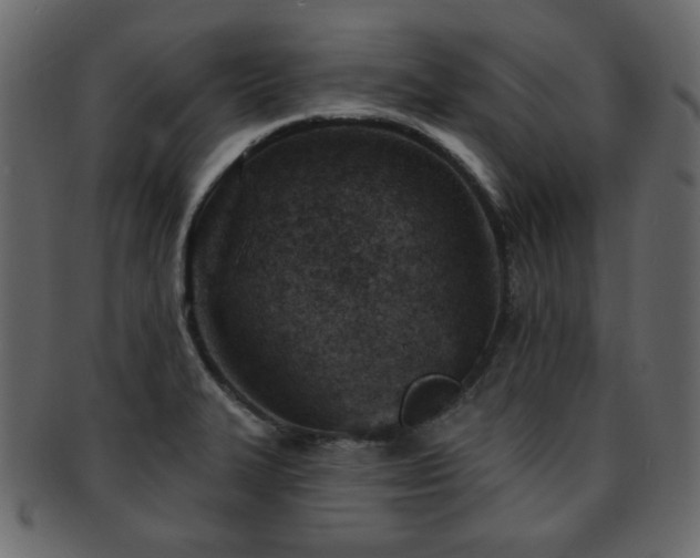 X0000093211327200709261548