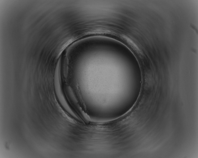 X0000093211329200709261548