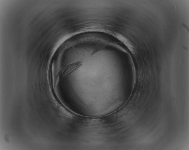 X0000093211334200709261548