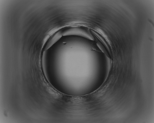 X0000093211336200709261548