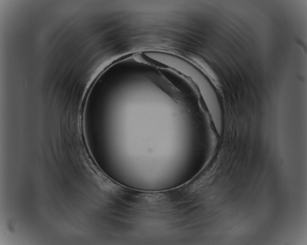 X0000093211340200709261548