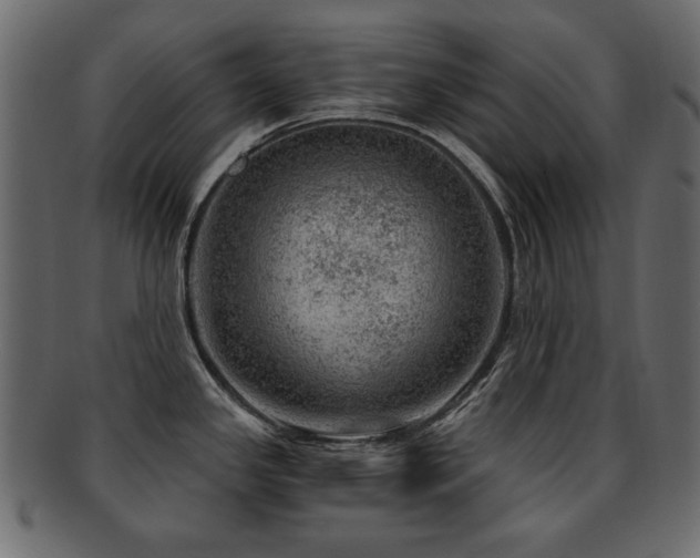 X0000093211341200709261548