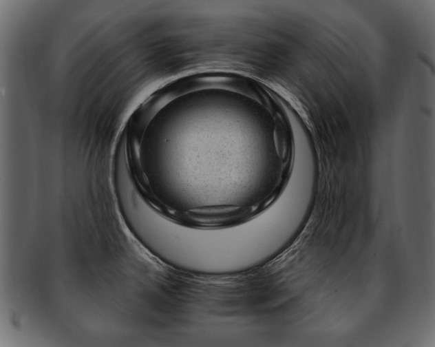 X0000093211342200709261548