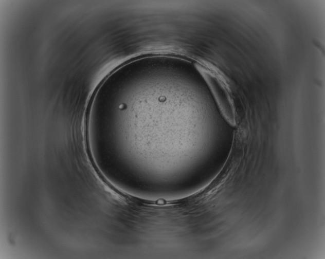 X0000093211343200709261548