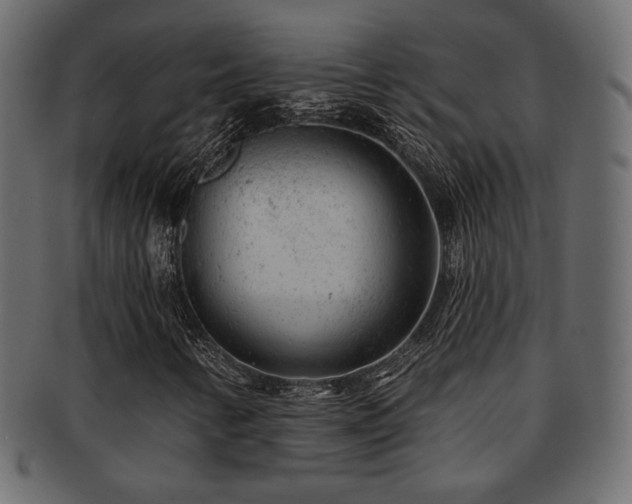 X0000093211346200709261548