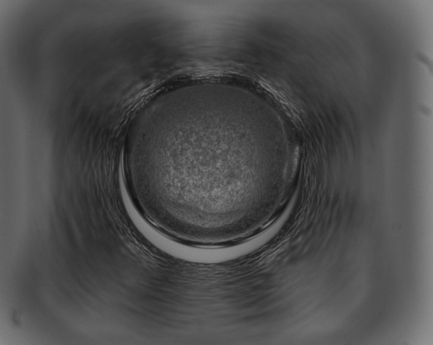 X0000093211348200709261548