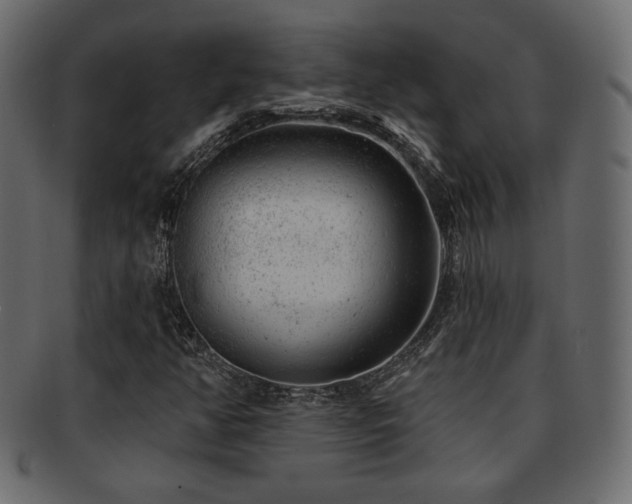 X0000093211350200709261548