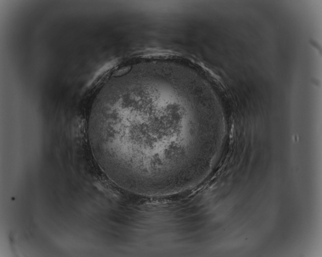 X0000093211351200709261548