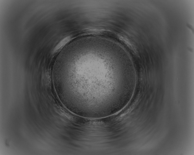 X0000093211354200709261548