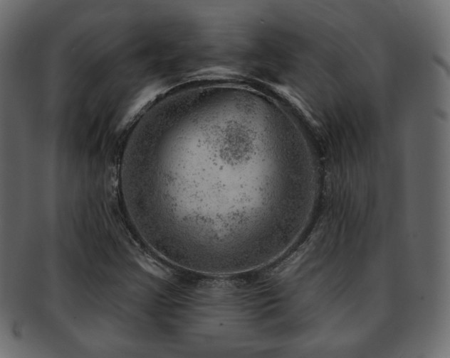 X0000093211355200709261548