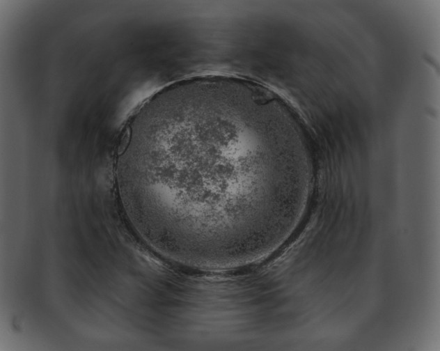 X0000093211359200709261548