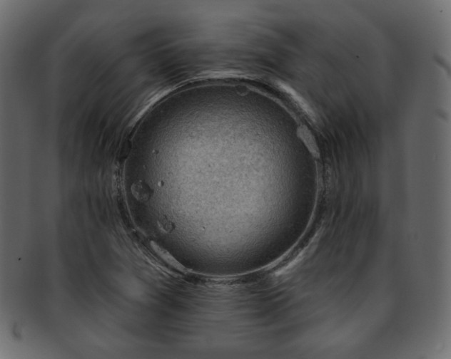 X0000093211361200709261548