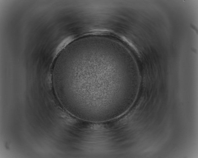 X0000093211362200709261548