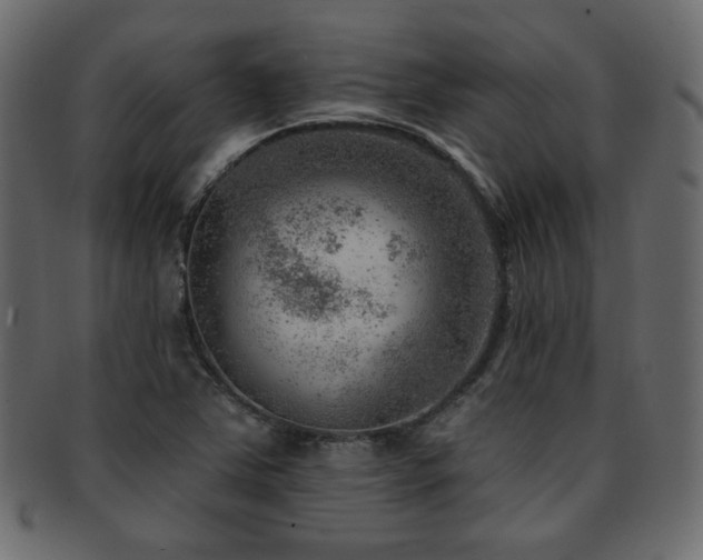 X0000093211363200709261548