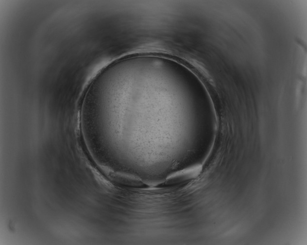 X0000093211366200709261548