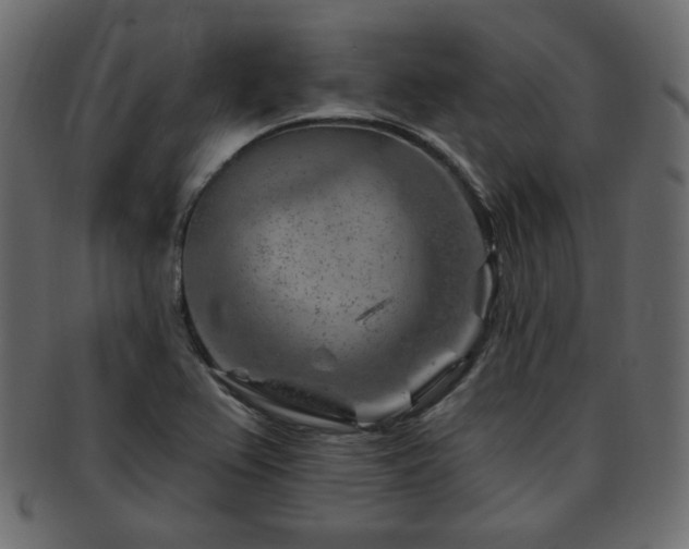 X0000093211367200709261548