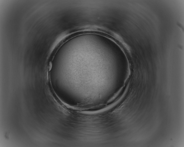 X0000093211368200709261548