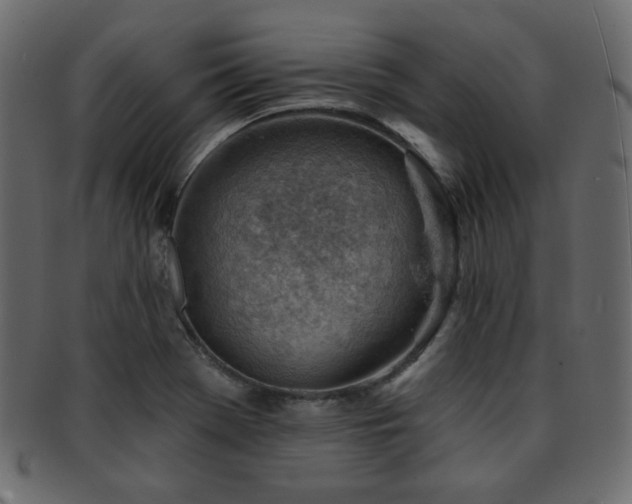 X0000093211369200709261548