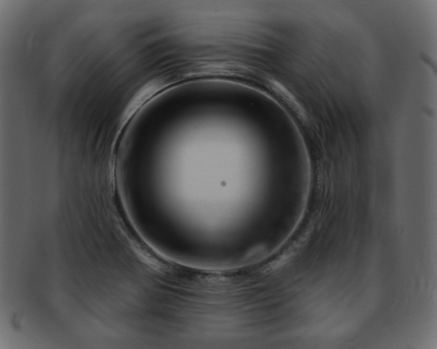X0000093211370200709261548