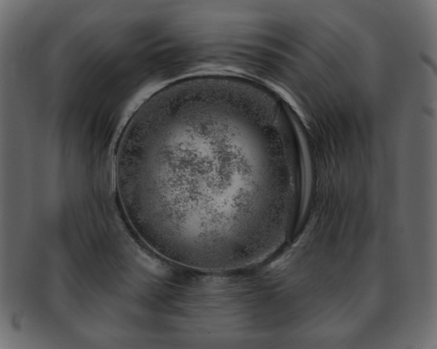 X0000093211371200709261548