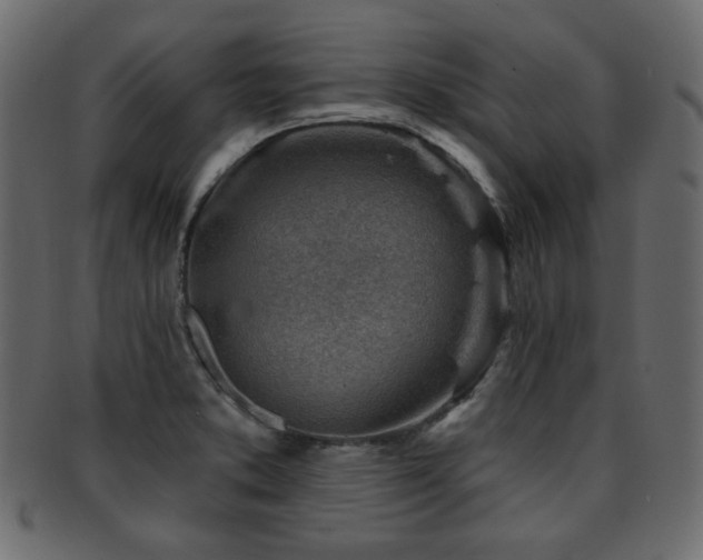 X0000093211373200709261548