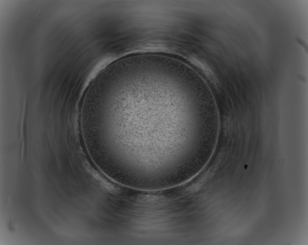 X0000093211374200709261547