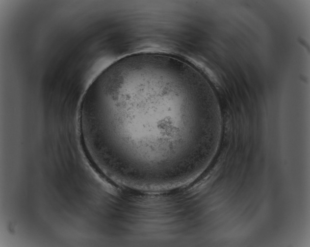 X0000093211375200709261547