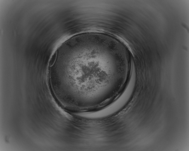 X0000093211379200709261547