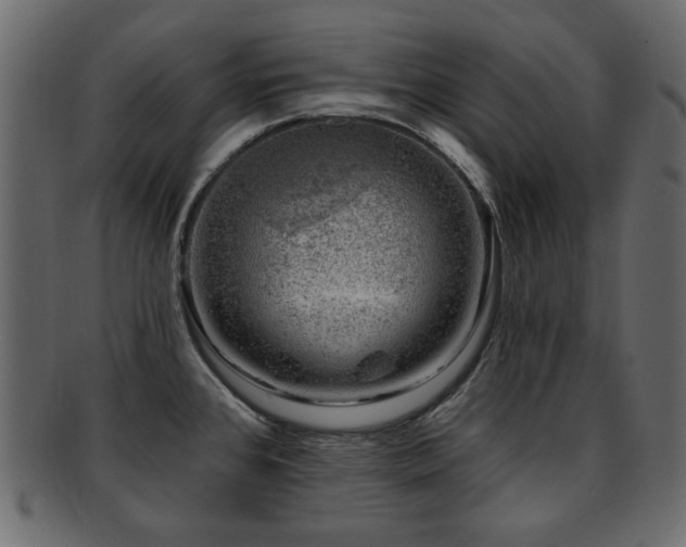 X0000093211384200709261547