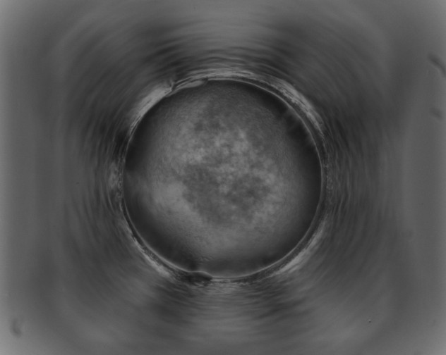 X0000093211385200709261547