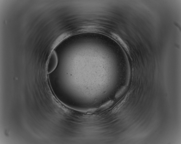 X0000093211386200709261547