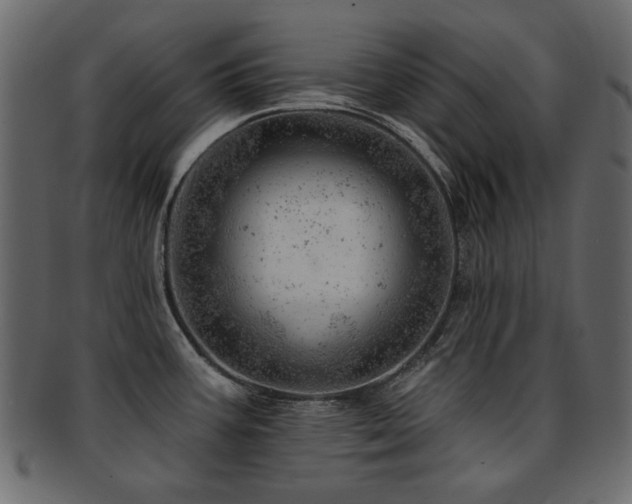 X0000093211387200709261547