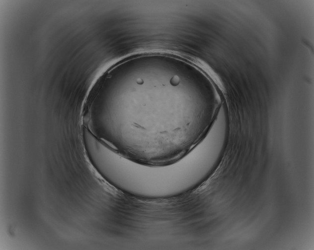 X0000093211388200709261547