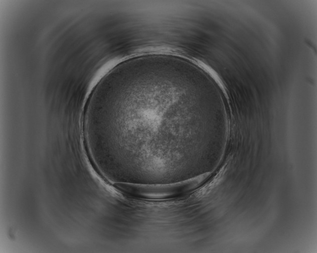 X0000093211389200709261547