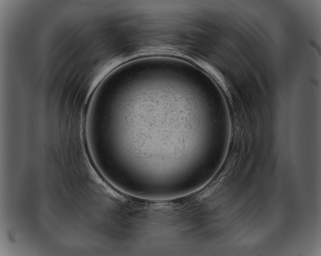 X0000093211390200709261547