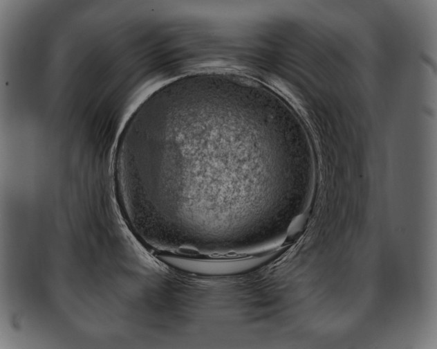 X0000093211392200709261547