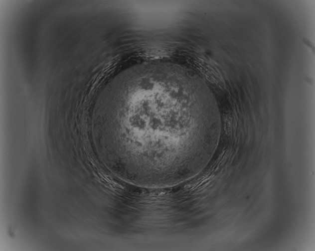 X0000093211393200709261547