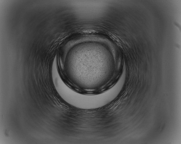X0000093211394200709261547