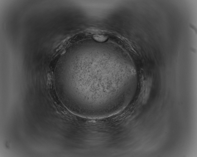 X0000093211397200709261547