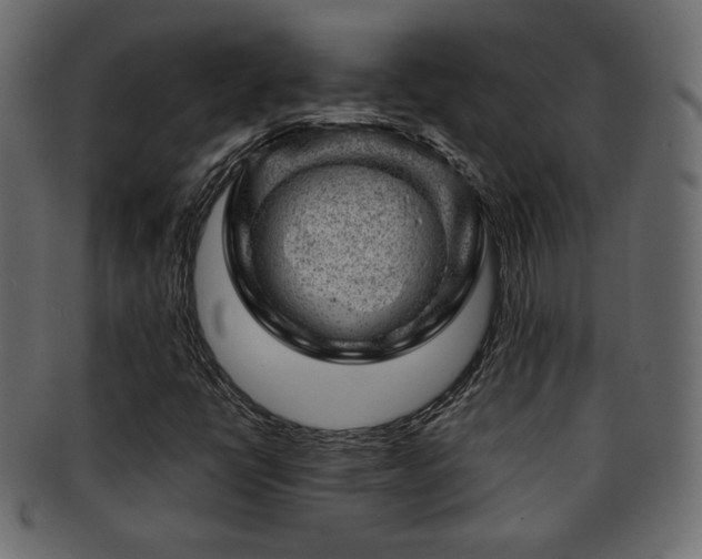 X0000093211398200709261547