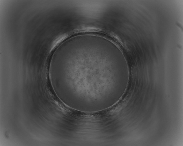 X0000093211405200709261547