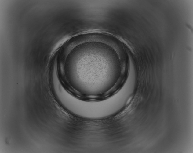 X0000093211406200709261547