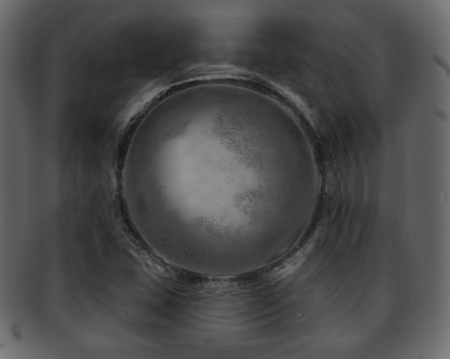 X0000093211407200709261547